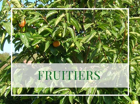 fruitiers-pepinieres-garnier